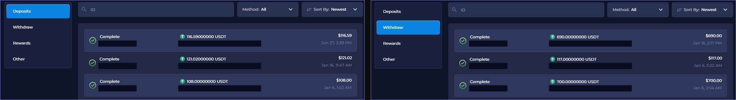 Dmitry AFFSTROY account history with completed USDT deposits and withdrawals and redacted transaction identifiers